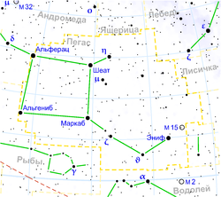 Пегас на звездной карте